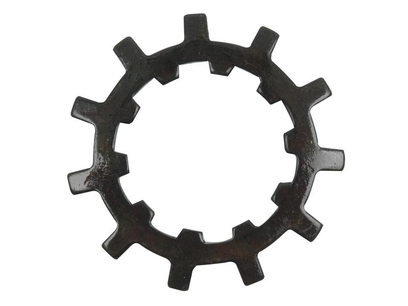 Pinion Nut Washer Image 1