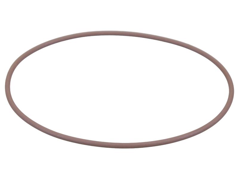 O Ring Image 1
