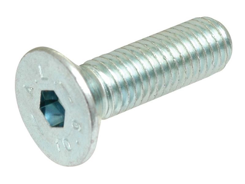 Metric Countersunk Hexagon Socket Screw,  M12x50mm (DIN 7991) Image 1
