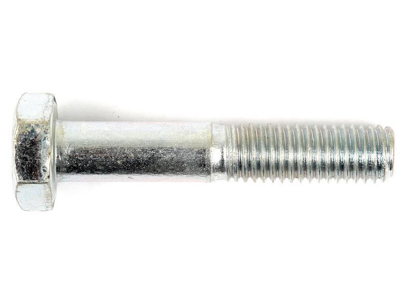 Metric Bolt, M10x55mm Image 1