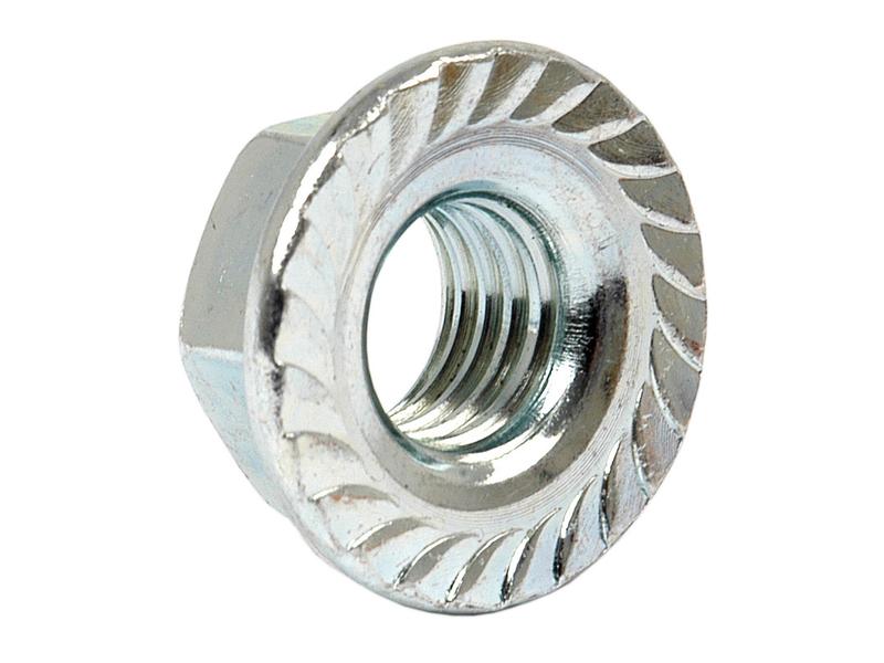 Metric Serrated Flange Nut, M6x1.00mm (DIN 6923) Metric Coarse Image 1
