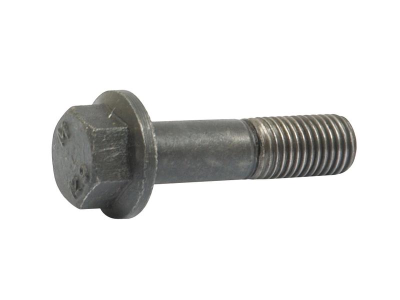 Metric Bolt M12x45mm Image 1