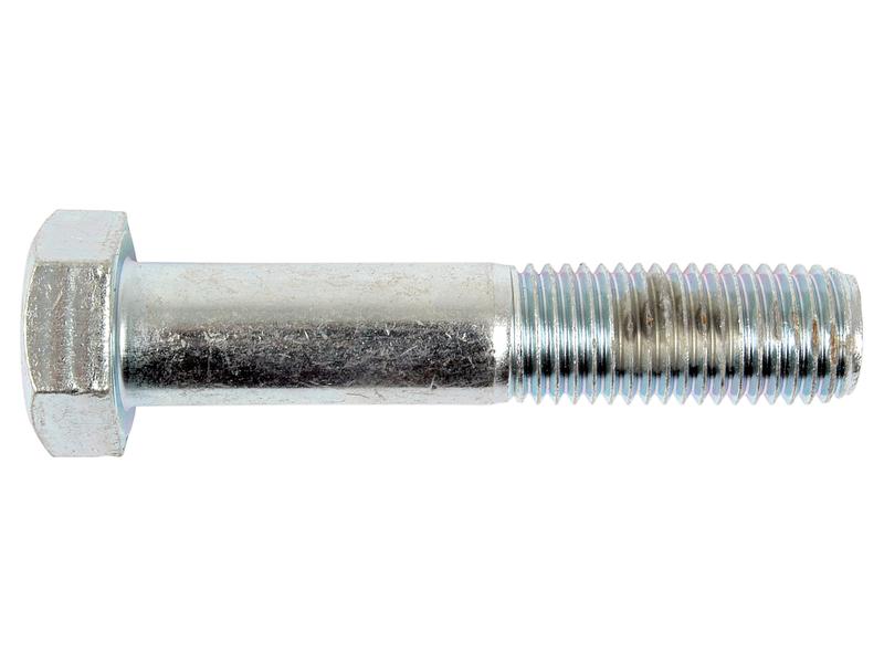 Metric Bolt, M20x100mm Image 1