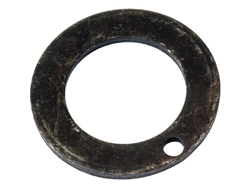 Thrust Washer Image 1