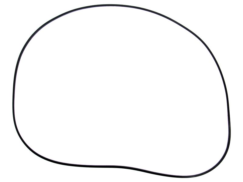 O Ring Image 1