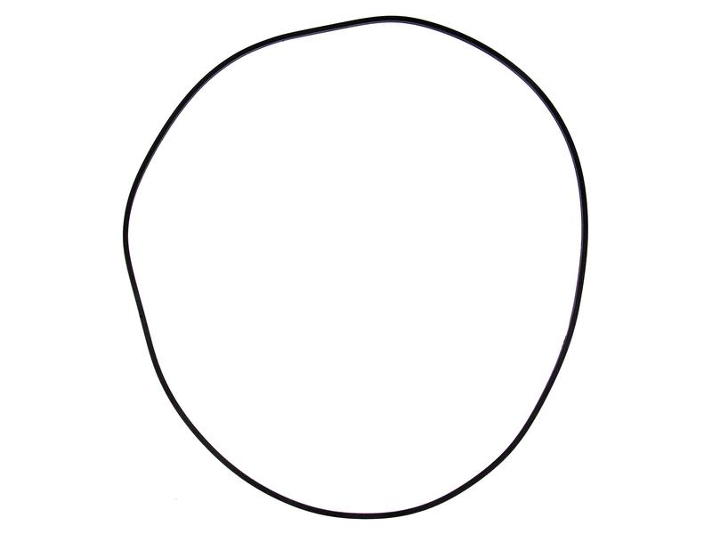 O Ring Image 1