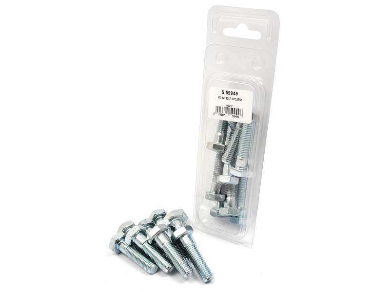 Agripak 10 pcs. Metric Bolt, M10x40mm Image 1