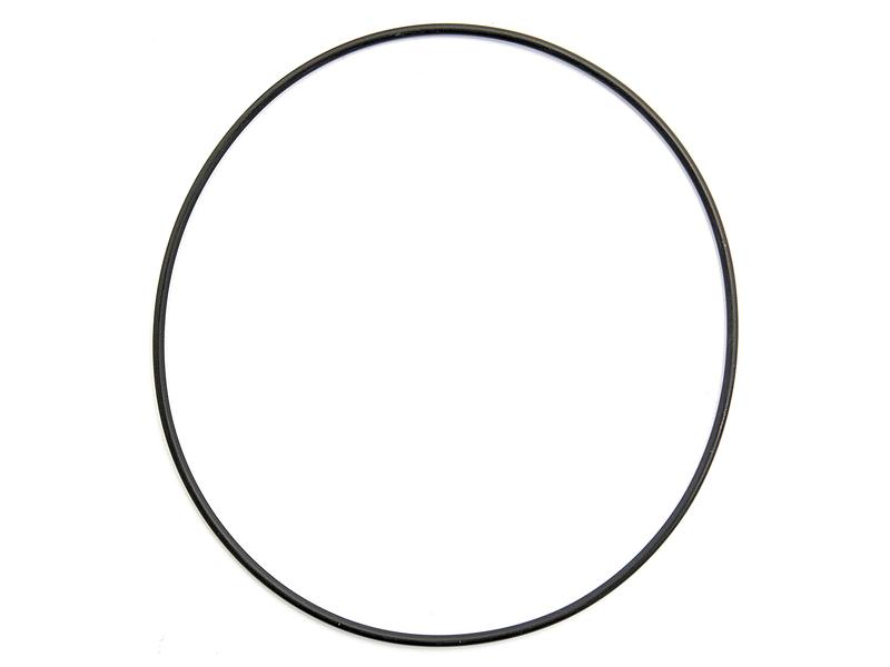 O Ring Image 1
