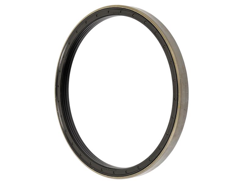 Metric Rotary Shaft Seal, 190 x 215 x 15.5mm Image 1