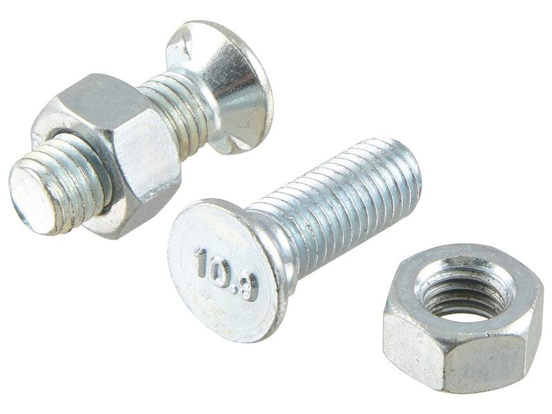 Countersunk Head Bolt 2 Nibs With Nut (TF2E) - M12 x 35mm, Tensile strength 10.9 Image 1
