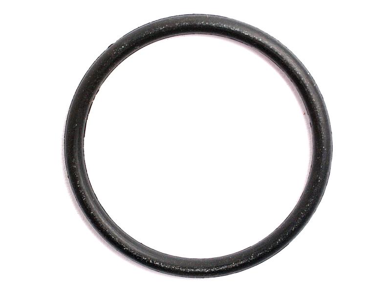 O Ring 1/16\'\' x 13/16\'\' (BS019) 70 Shore Image 1