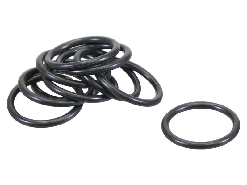 O Ring Image 1