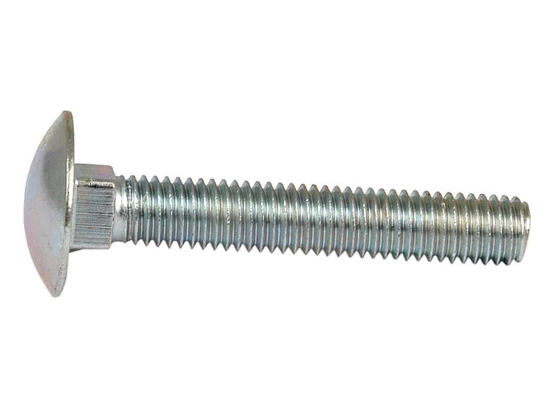 Metric Carriage Bolt and Nut, M8x50mm (DIN 601/934)