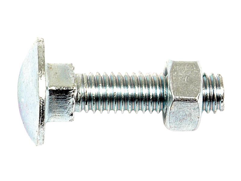 Metric Carriage Bolt and Nut, M10x40mm (DIN 601/934) Image 1
