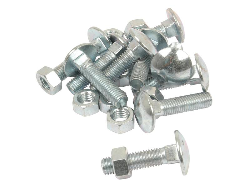 Metric Carriage Bolt and Nut, M12x50mm (DIN 601/934)