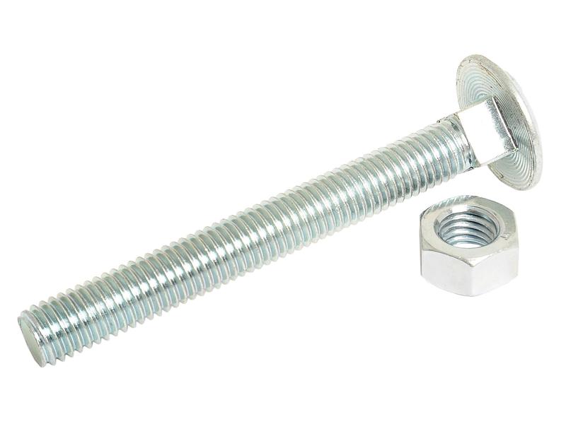 Metric Carriage Bolt and Nut, M12x100mm (DIN 601/934) Image 1