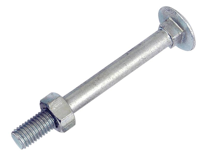 Metric Carriage Bolt and Nut, M12x110mm (DIN 601/934) Image 1