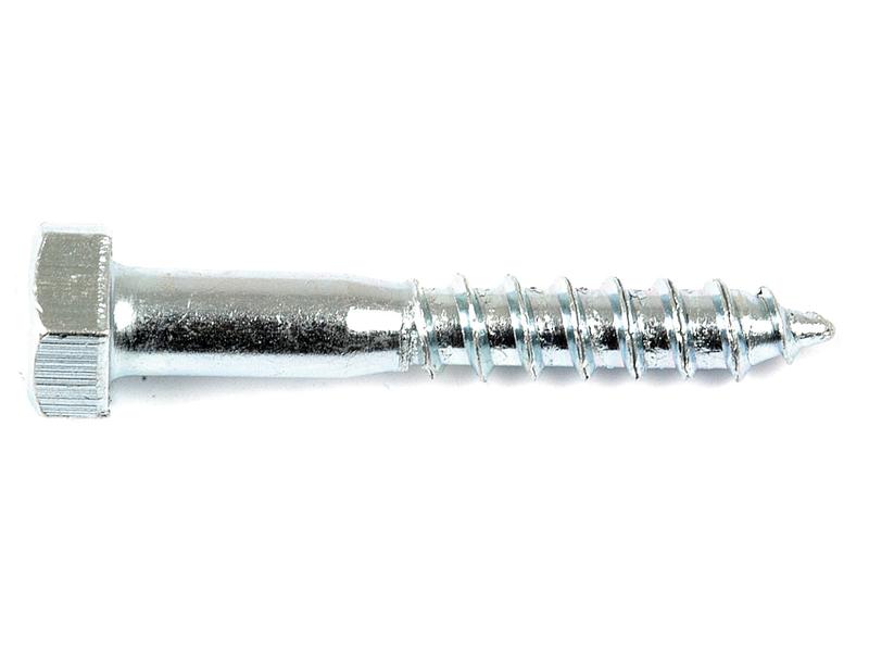 Metric Coach Screw, M8x50mm (DIN 571) Image 1