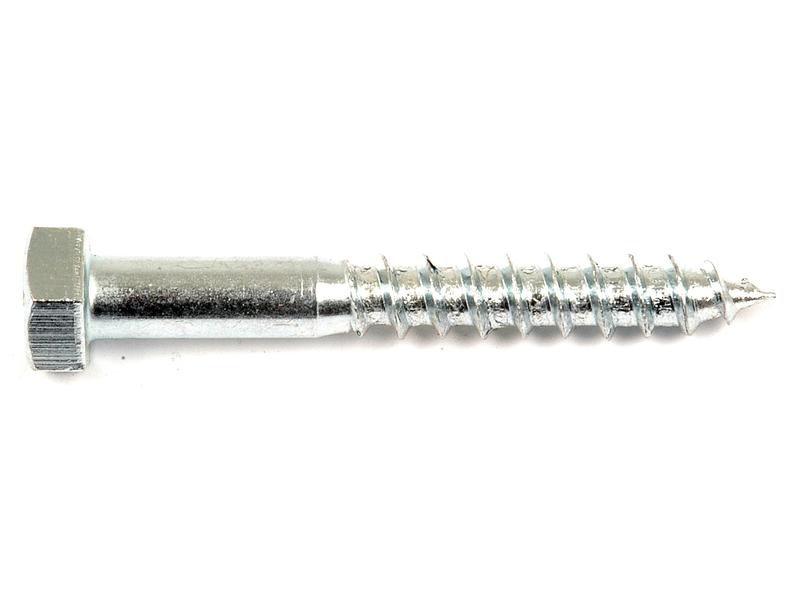Metric Coach Screw, M8x60mm (DIN 571) Image 1