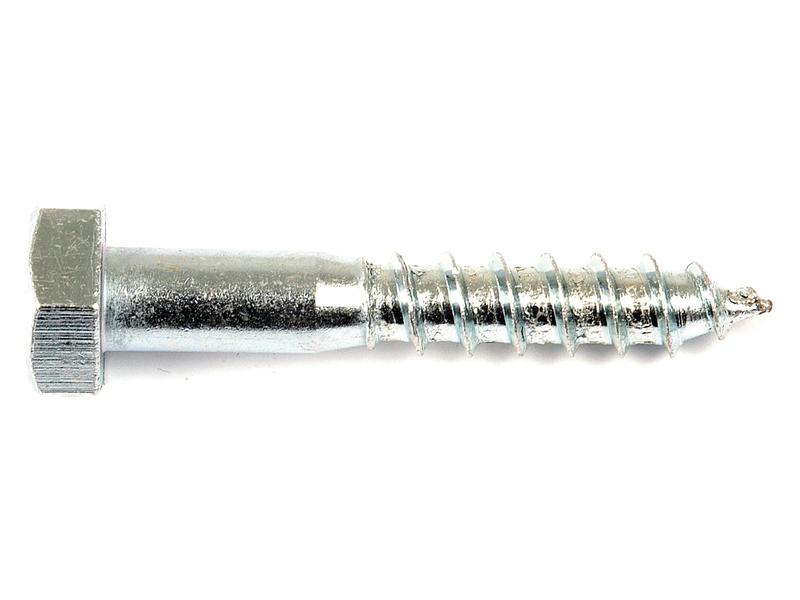 Metric Coach Screw, M10x50mm (DIN 571) Image 1