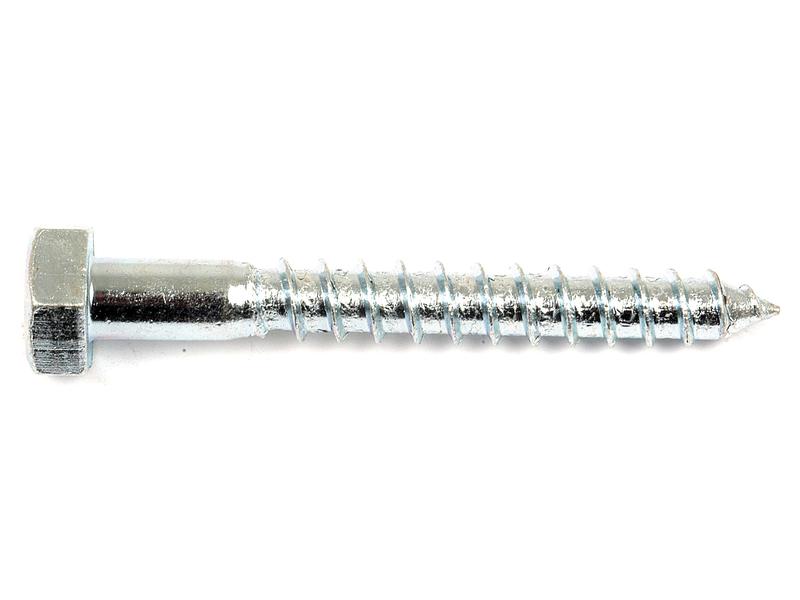 Metric Coach Screw, M10x80mm (DIN 571) Image 1