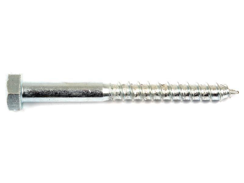 Metric Coach Screw, M10x100mm (DIN 571) Image 1