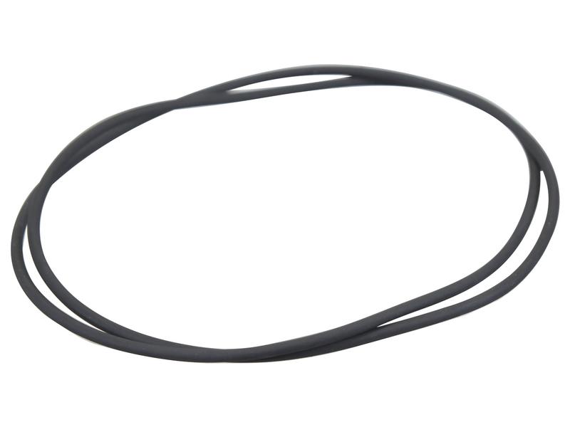 O Ring Image 1