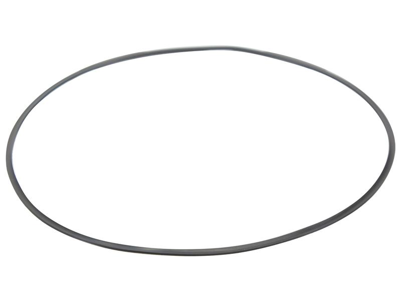 O Ring Image 1