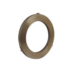 Intermediate Brake Disc, OD: 310mm. 2