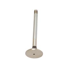 Exhaust Valve Standard 1
