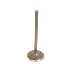 Inlet Valve 1