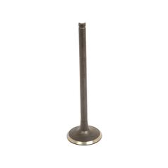 Exhaust Valve Standard 1