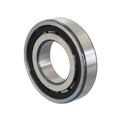 Sparex Cylindrical Roller Bearing 1