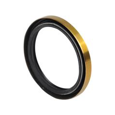 Hydraulic Pump Seal 1