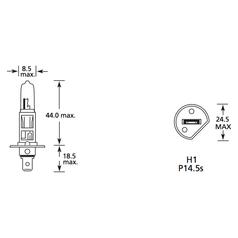 Light Bulb (Halogen) H1, 12V, 100W, P14.5s (Box 1 pc.) 4