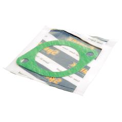 Thermostat Gasket 1