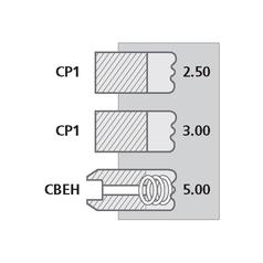 Piston Ring 2