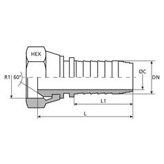 Dicsa BSP 60° Hose Insert 3/8\'\' x 1/4\'\' Female Thread Straight Swivel 2