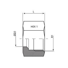 Dicsa Metric Nut M30 x 2 (22L) 2