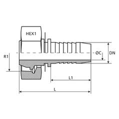 Dicsa  24° Hose Insert 1/4\'\' x M20 x 1.5 Female Thread Straight Swivel 3