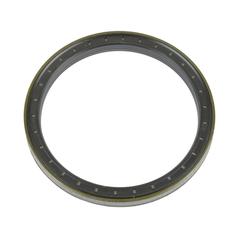 Oil Seal 1