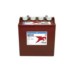 Exide T875 8V   Trojan Battery 1