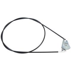 Temperature Control Switch 1