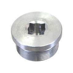 Plug 1