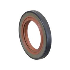 Oil Seal 1