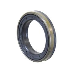 Oil Seal 1