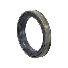 Oil Seal 1