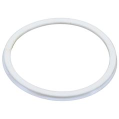 Sealing Ring 1
