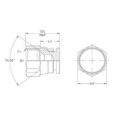 Hydraulic Adaptor 9/16\'\' JIC Swivel Blanking Cap 3