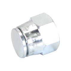 Hydraulic Adaptor 7/8\'\' JIC Swivel Blanking Cap 2
